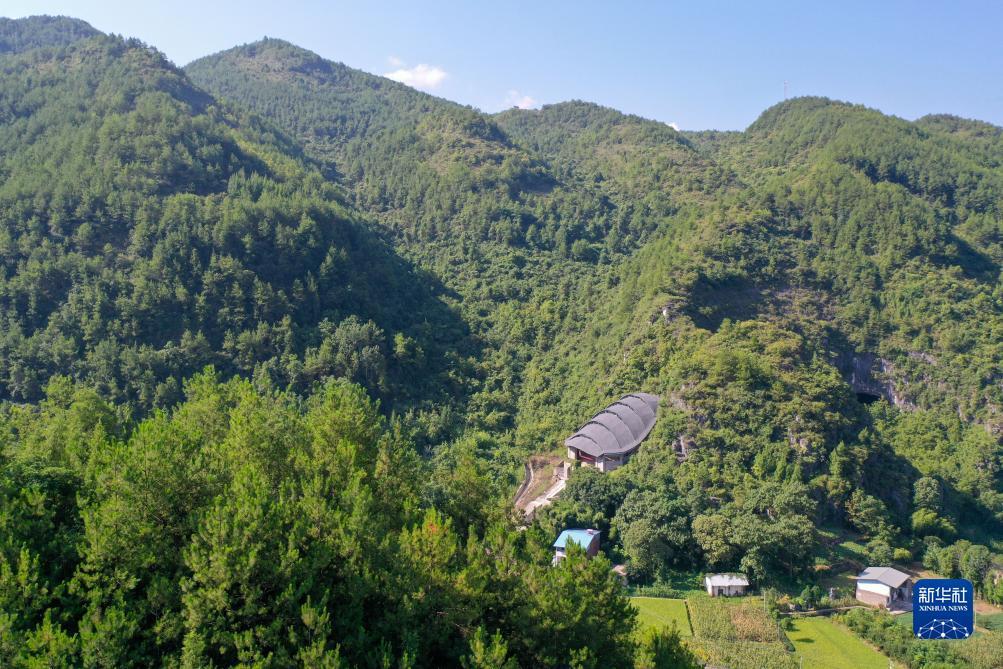 赌币机下载
